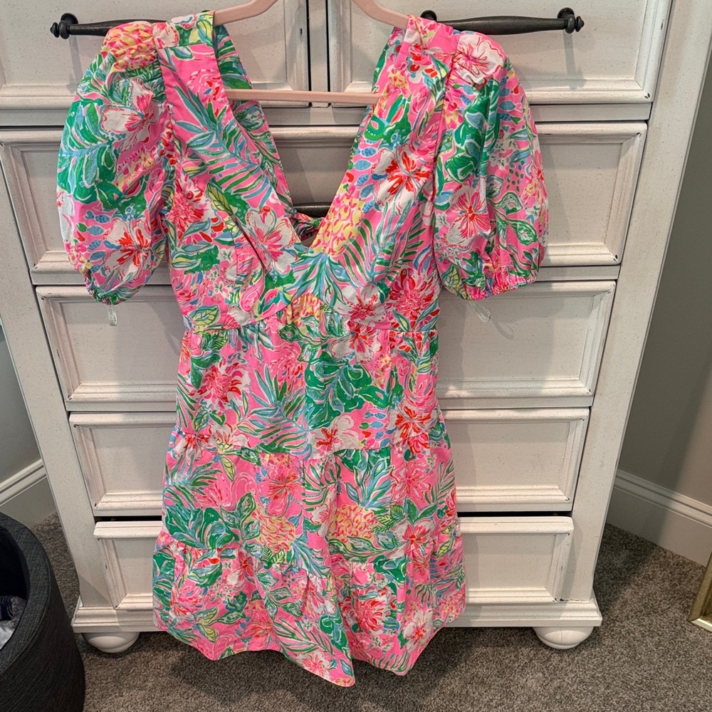 Lilly Pulitzer Pink and Green Floral Dress